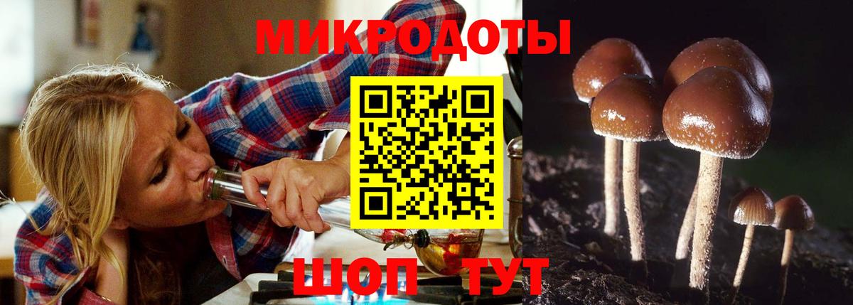 купить наркотик  Псилоцибиновые грибы ЛСД  Вход с VPN  Галлюциногенные грибы GOLDEN TEACHER  Кингисепп 