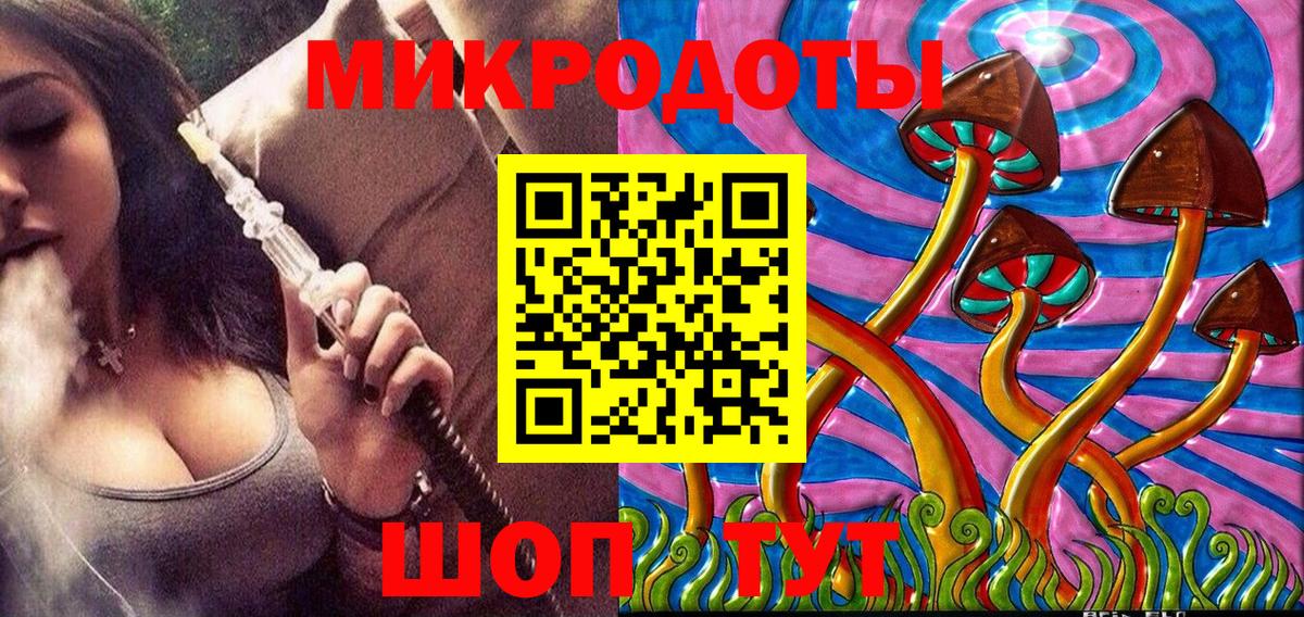 Галлюциногенные грибы Psilocybine cubensis Кингисепп